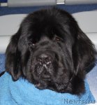 Превью фото № 81892