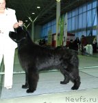 Превью фото № 81893