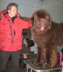 Превью фото № 81966