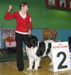 Превью фото № 81978