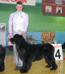 Превью фото № 81980