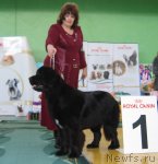 Превью фото № 81988