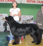 Превью фото № 81989