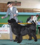 Превью фото № 81992