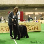 Превью фото № 82191