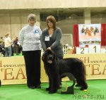 Превью фото № 82197