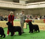 Превью фото № 82376