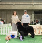 Превью фото № 82390