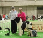 Превью фото № 82395