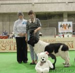 Превью фото № 82418