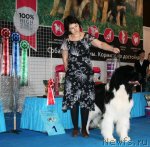 Превью фото № 82496