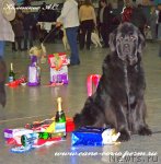 Превью фото № 82632