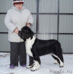 Превью фото № 82638