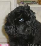 Превью фото № 8279