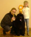 Превью фото № 83043