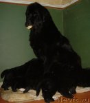 Превью фото № 83097