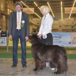 Превью фото № 83260