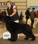 Превью фото № 83673