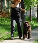 Превью фото № 83903