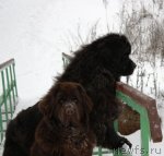 Превью фото № 83926