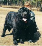 Превью фото № 8419