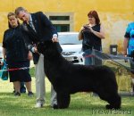 Превью фото № 84297