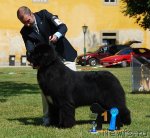 Превью фото № 84298