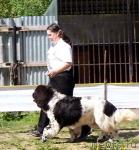 Превью фото № 8445