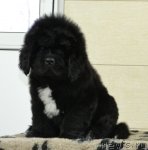 Превью фото № 84727