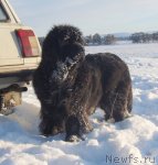 Превью фото № 84792