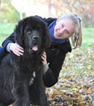 Превью фото № 84805