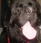 Превью фото № 84978