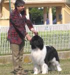 Превью фото № 8515