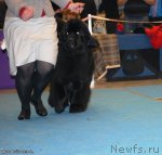 Превью фото № 85591