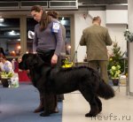 Превью фото № 85646