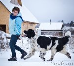 Превью фото № 85884