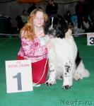 Превью фото № 8622