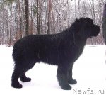 Превью фото № 86254