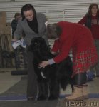 Превью фото № 86466