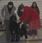 Превью фото № 86467