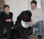 Превью фото № 86470