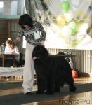 Превью фото № 86773