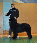 Превью фото № 86776