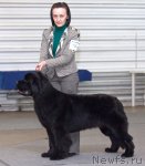 Превью фото № 86780