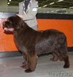 Превью фото № 87115