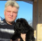 Превью фото № 87344