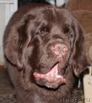 Превью фото № 87371