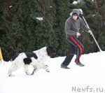 Превью фото № 87538