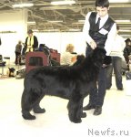 Превью фото № 87630