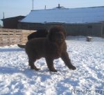 Превью фото № 87757